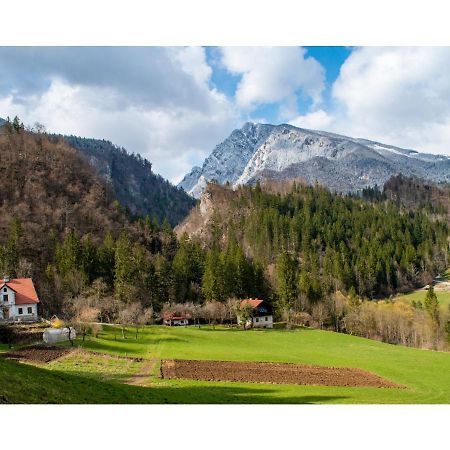 Turisticna Kmetija Stoglej Villa Luče Dış mekan fotoğraf