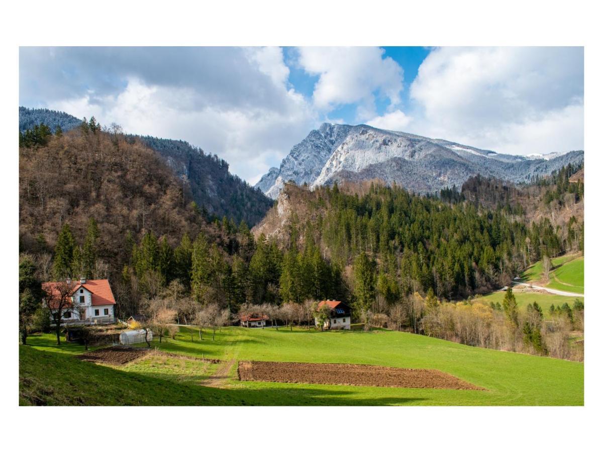 Turisticna Kmetija Stoglej Villa Luče Dış mekan fotoğraf