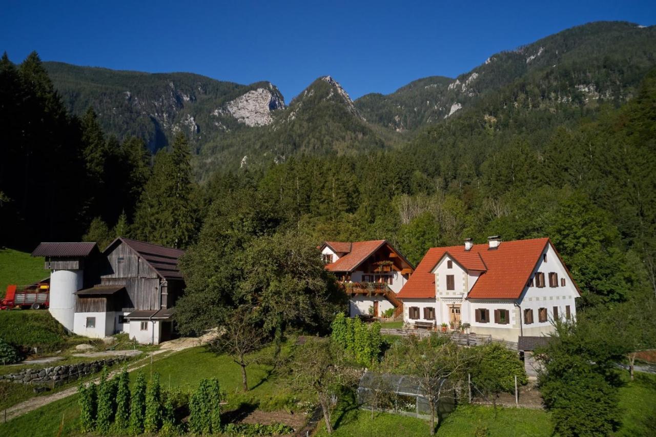 Turisticna Kmetija Stoglej Villa Luče Dış mekan fotoğraf