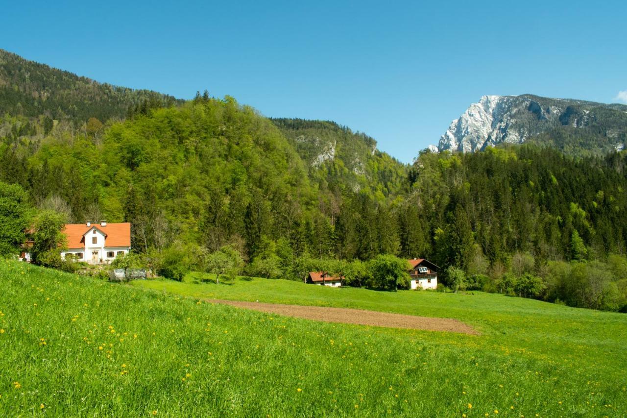 Turisticna Kmetija Stoglej Villa Luče Dış mekan fotoğraf